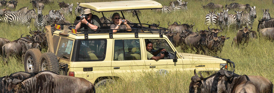 5-day tanzania budget safari tour 